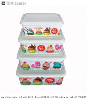 Lot de 4 boites Alimentaire